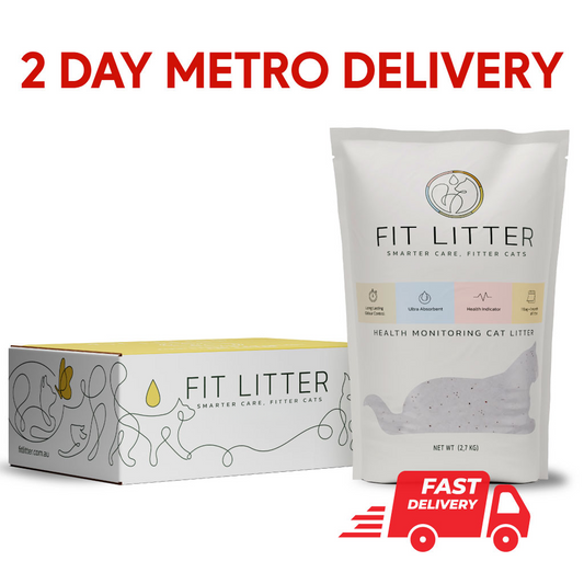 Fast Delivery Bag